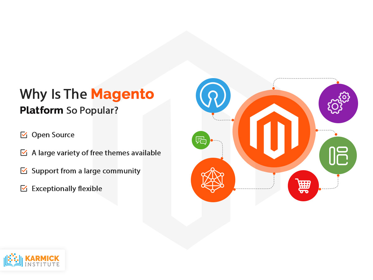 Why Is The Magento Platform So Popular?